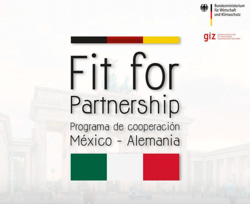 Fit For Partnership